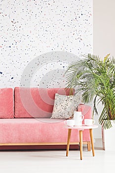 Plant next to pink sofa in patterned living room interior with w