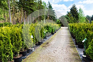 Plant nursery