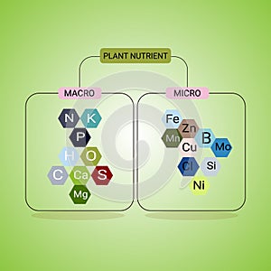 Plant nutrient macro and micro, main needs unsure of plants photo