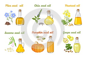 Set of vegetable oils in glass bottles of different shapes.