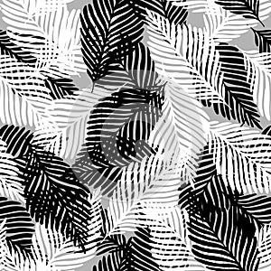 Plant palm leaf tropic seamless pattern. Abstract black and white background