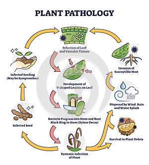 Plant pathology with bacteria infection spreading on leafs outline concept