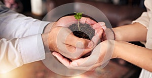 Plant in people or partner hands for business growth, eco friendly development and sustainability in green startup