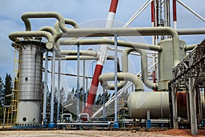 Plant Petroleum