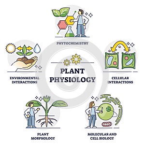 Plant physiology five key areas study and research outline collection set