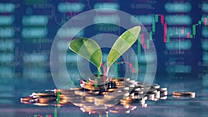 A plant on a pile of money with dynamic stock charts in the background
