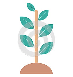 Plant, Planting Color Isolated Vector Icon