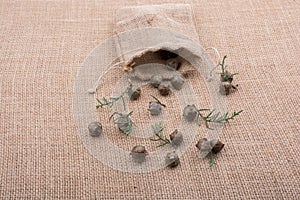 Plant pods, capsules out of sack