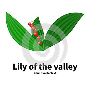 Plant with poisonous berries lily of the valley