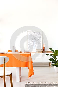 Plant and poster on cabinet in white dining room interior with chair at table with orange cloth