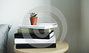 Plant pot on few books photo