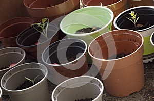 Plant pot or flower pot