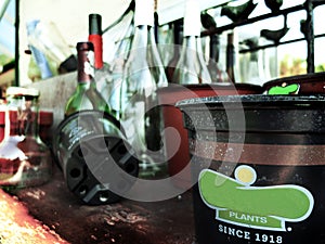 Plant Pot with Glass Bottles in a Blurred Background
