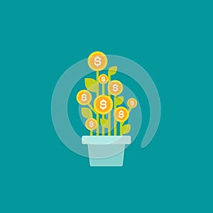 Plant in pot with green leaves and dollar coins as a flower. vector icon. Income growth, invextment concept