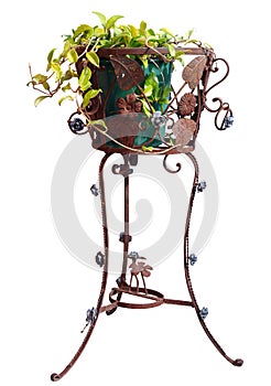 Plant Pot Holder with Plant