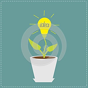 Plant in the pot with lamp bulb. Growing idea concept.