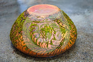 Plant pot with moss covered is upside down on the wet concrete f