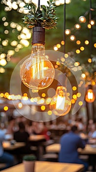 A plant in a pot placed on a wooden table beside a lamp