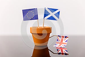 Plant pot with scottish and european flag