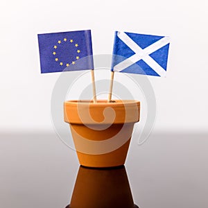 Plant pot with scottish and european flag