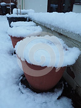 Plant pots covered in snow