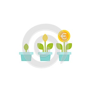 3 plant in pots with green leaves and euro coin as a flower. Growing process vector icon. Income growth flat icon