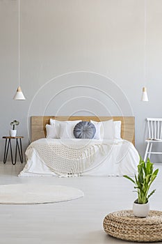 Plant on pouf in grey spacious bedroom interior with white chair