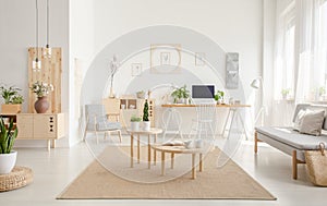 Plant on pouf neat wooden tables on brown carpet in spacious white flat interior with sofa. Real photo
