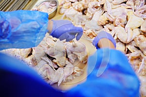 Plant for processing poultry in the food industry.