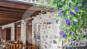 Plant with purple flowers on the background of a stone house with the image of a Saint in Cyprus