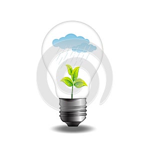 Plant with rainy cloud in bulb
