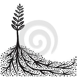 Plant and Roots Background