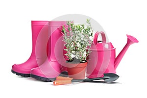 Plant, rubber boots and gardening tools on white background