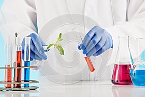 Plant sciences in lab