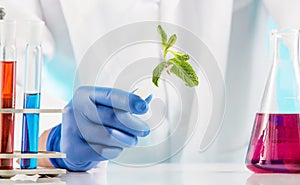 Plant sciences in lab