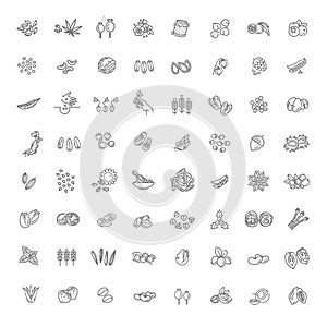 Plant seed and nuts vector icon set