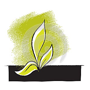 Plant seedling icon, freehand drawing