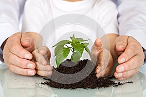 Plant a seedling today - environment concept