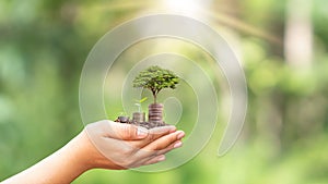 Plant the seedlings on a pile of coins or money in human hand.