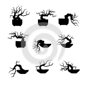 Plant silhouette icons, tree and branches silhouette, detailed vector illustration.