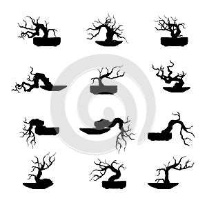 Plant silhouette icons, tree and branches silhouette, detailed vector illustration.