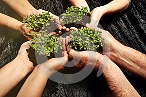 Plant soil, hands and diversity with teamwork by dark surface for nature and environment future for Earth Day