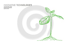 Plant sprout ecological abstract concept. 3D render seedling tree leaves. Save planet nature environment grow life eco