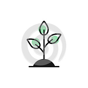 plant sprout growth in soil like seedling icon