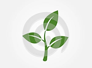 Plant sprout icon. eco and environment symbol. nature design element. vector color image