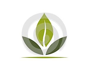 Plant sprout icon. organic, eco, spring and nature symbol. vector image in flat design