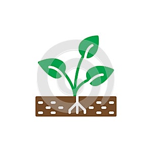 Plant, sprout icon vector, filled flat sign, solid colorful pictogram.