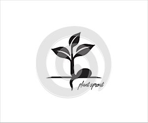 a plant sprout with three leaf and its embryo, simple vector icon logo design illustration