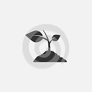 Plant sprout. Vector illustration.