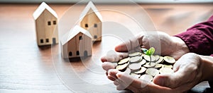 Plant sprouting growing on pile of coins in hands asian businessman with house model on table to saving money